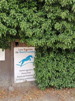 Détail de l’extérieur