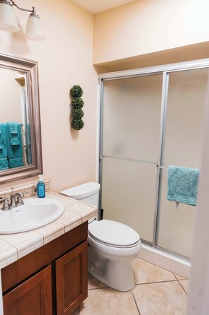 Shower, hair dryer, towels