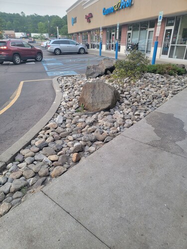 Cozy retreat on Mountain w/ Family entertainment studio Pet-Friendly!