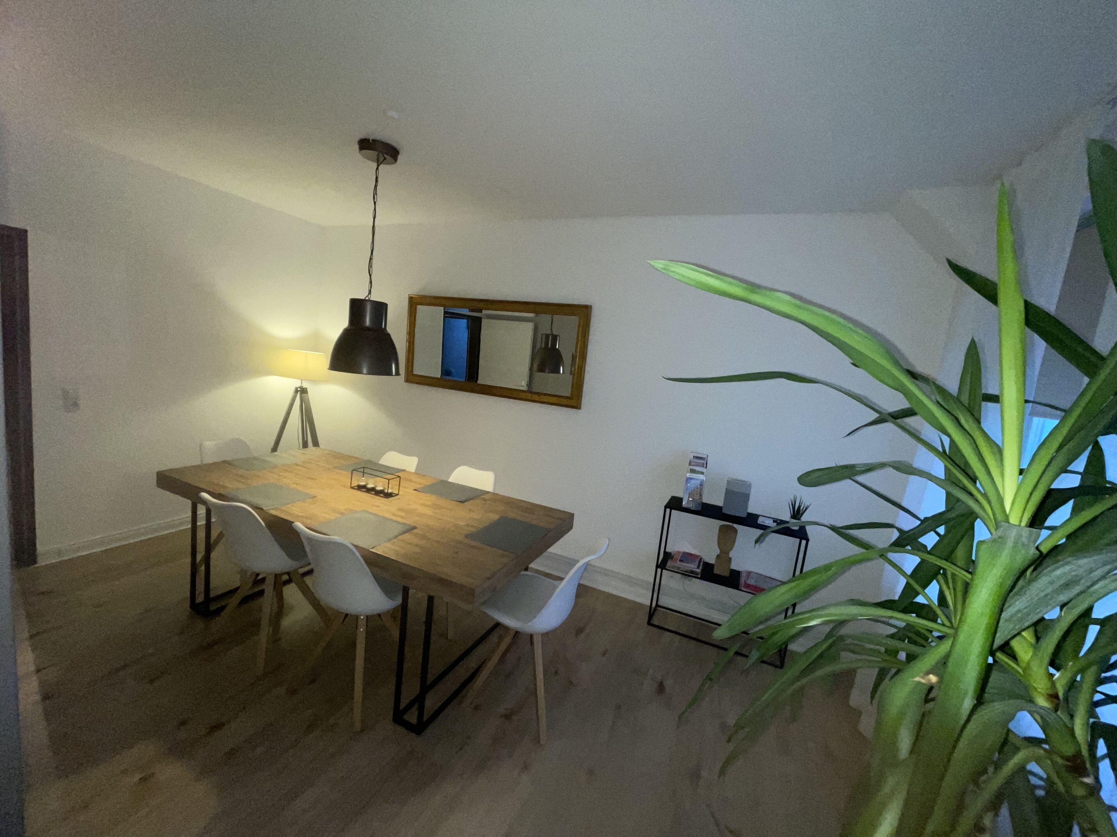 A dining area with a wooden table, four chairs, a hanging lamp, a mirror, and a plant.