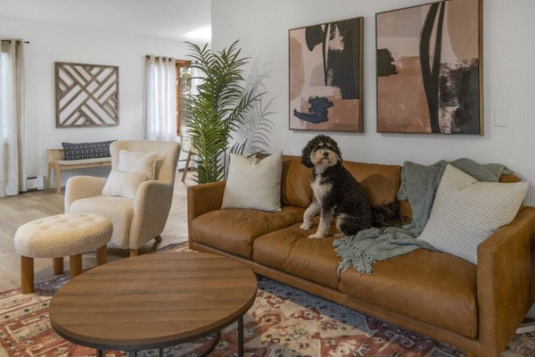 Dog Friendly