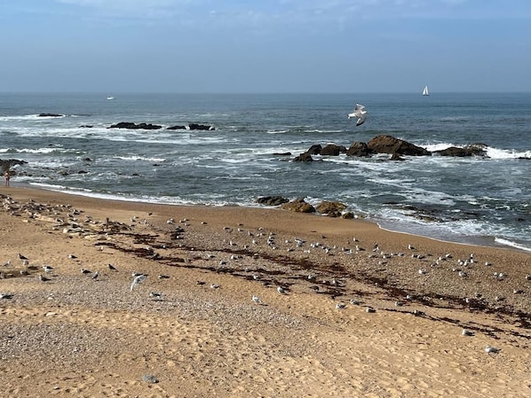 Perto da praia