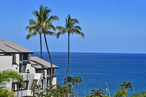A beachfront hotel with multiple floors, palm trees, and a view of the ocean. - Charming Kihei Oasis Vistas  (Kihei)