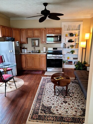 Private 1 bdrm apartment in the heart of the city. Pet friendly.