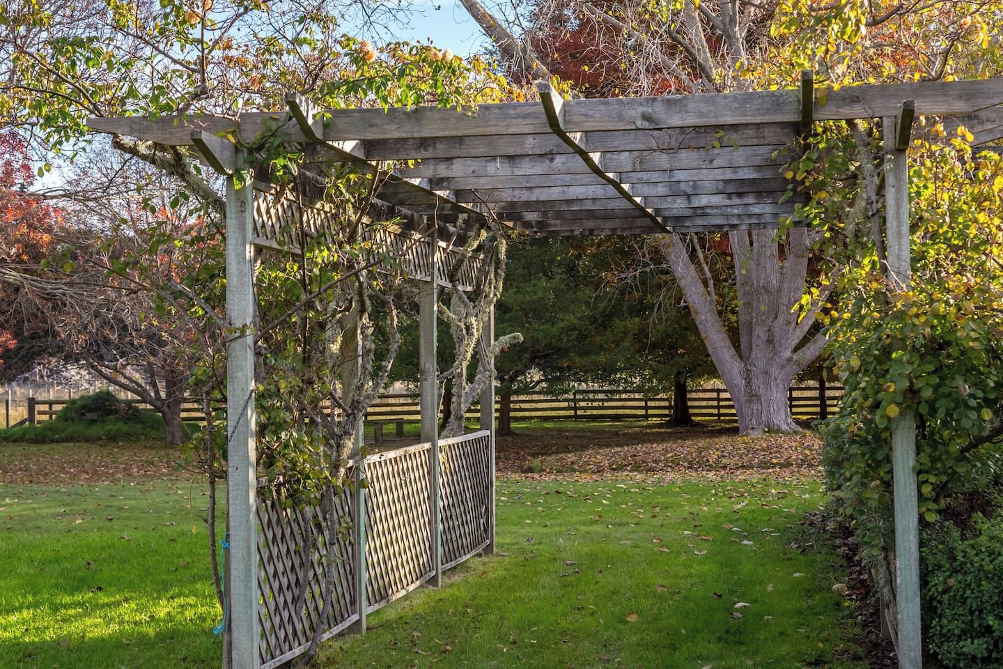Una estructura de pérgola de madera en un parque con césped y árboles al fondo.