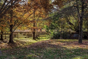 A park with trees, a wooden fence, and a grassy area. - Longbush Estate, Gladstone (Longbush)