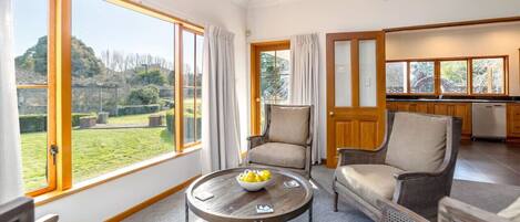 TV connectée, cheminée, chaßne hi-fi