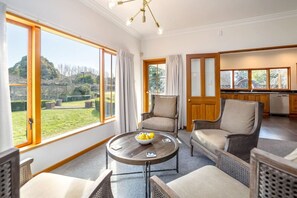 TV connectée, cheminée, chaîne hi-fi