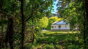 A house surrounded by dense forest. - The Forest House, Martinborough (Pirinoa)