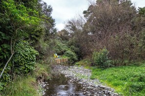 A natural landscape with a stream, dense foliage, and a wooden structure. - The  Glade, Martinborough (Ruakōkoputuna)