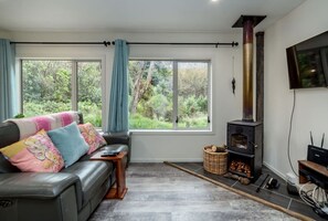 TV connectée, cheminée