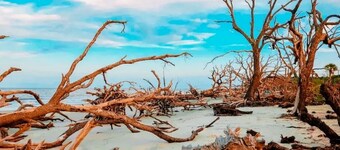 Paradise is waiting for you! Minutes away from St. Simons, Jekyll, Golf & FLETC!