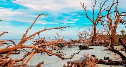 Paradise is waiting for you! Minutes away from St. Simons, Jekyll, Golf & FLETC!