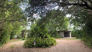 A gravel path leading to a building surrounded by dense foliage.