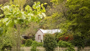 Une petite maison entourée d’une végétation luxuriante et d’une clôture en bois.