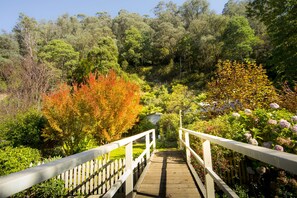 Garden - Spetts Cottage (Walhalla)