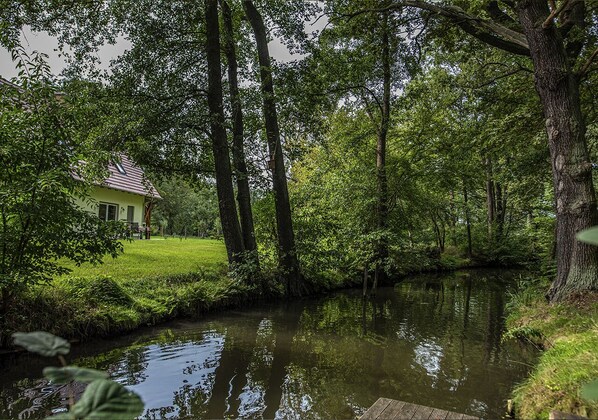Une maison avec un toit rouge, entourée d’une végétation luxuriante et bordée d’une rivière paisible.