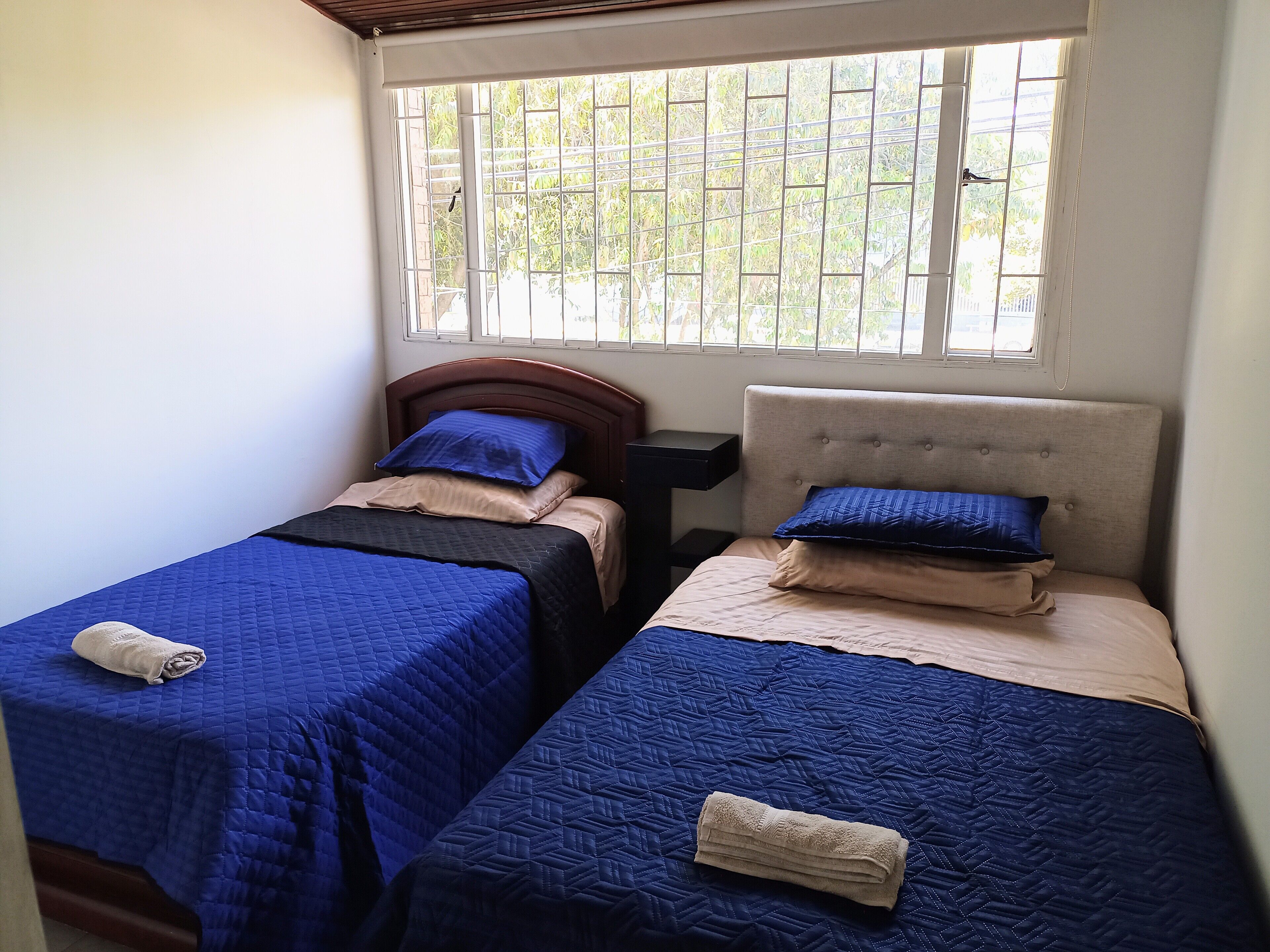 Two single beds with blue and beige bedding, a wooden headboard, and a window with a view of greenery.