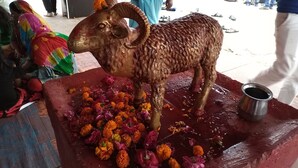 A statue of a ram surrounded by marigold flowers on a red platform. - Hotel Pride Arena (Bhopal)