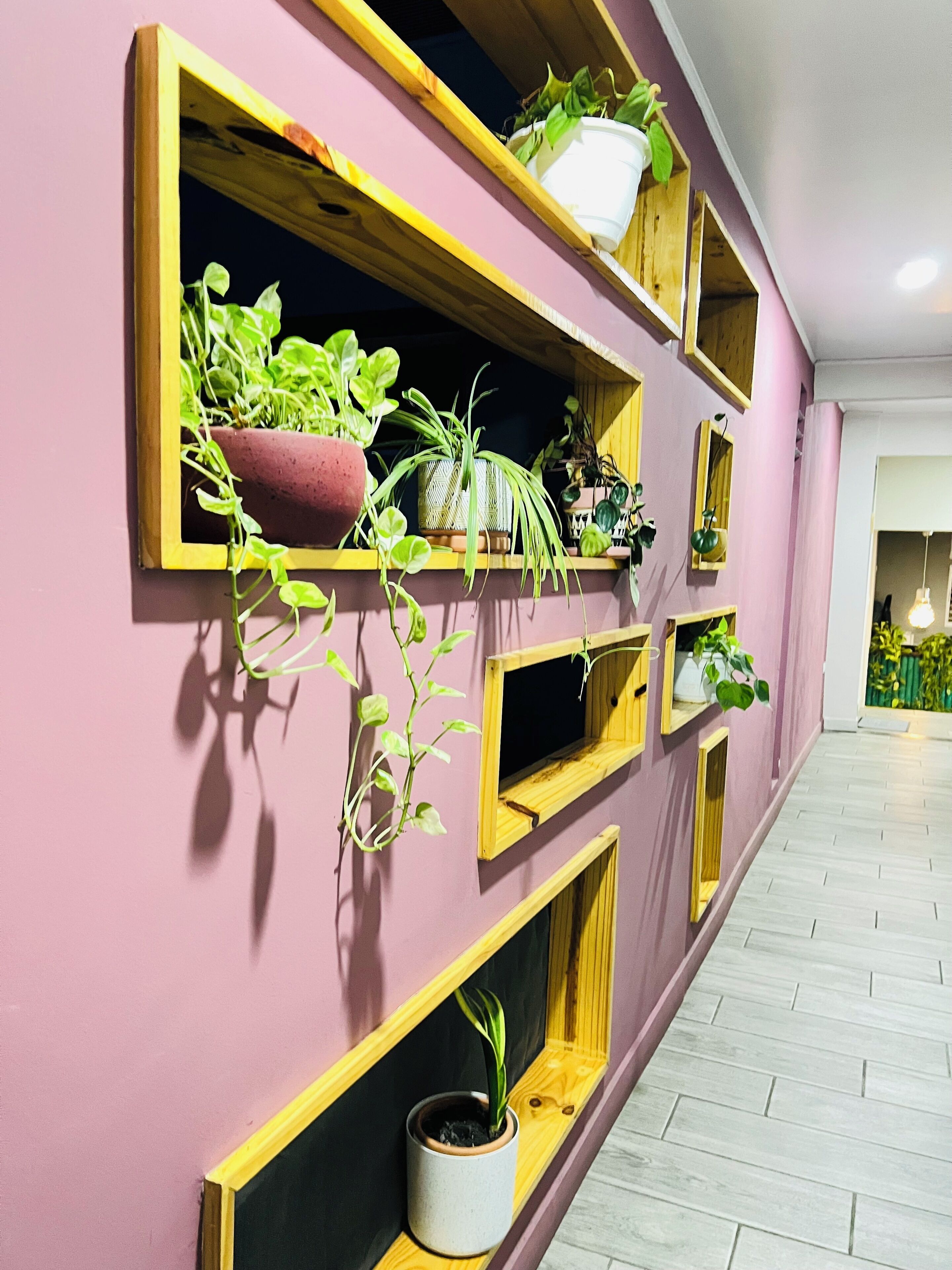 Um corredor com prateleiras de madeira contra uma parede rosa, cada prateleira exibindo diversos vasos com plantas.