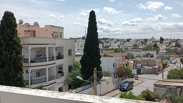 Quartiere residenziale con vista su un albero alto e stretto e un edificio a più piani con balconi.