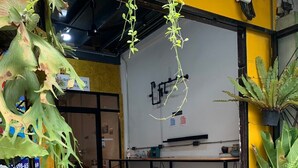 Une pièce équipée d’un tableau blanc, de tabourets et de plantes en pot.