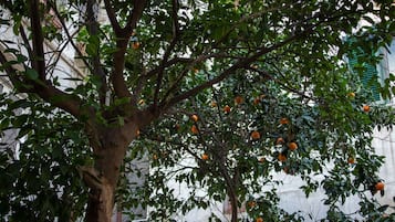 Esterni