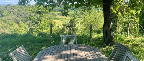 تناول الطعام بالخارج