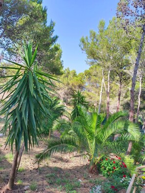 Áreas de la propiedad