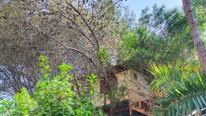 A garden with a wooden staircase leading to a building with a rustic design. - Wild Wild Nest Sperlongaresort (Sperlonga)