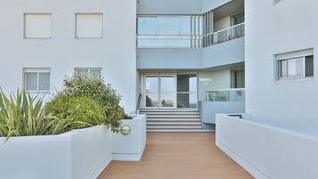 Detalle del exterior