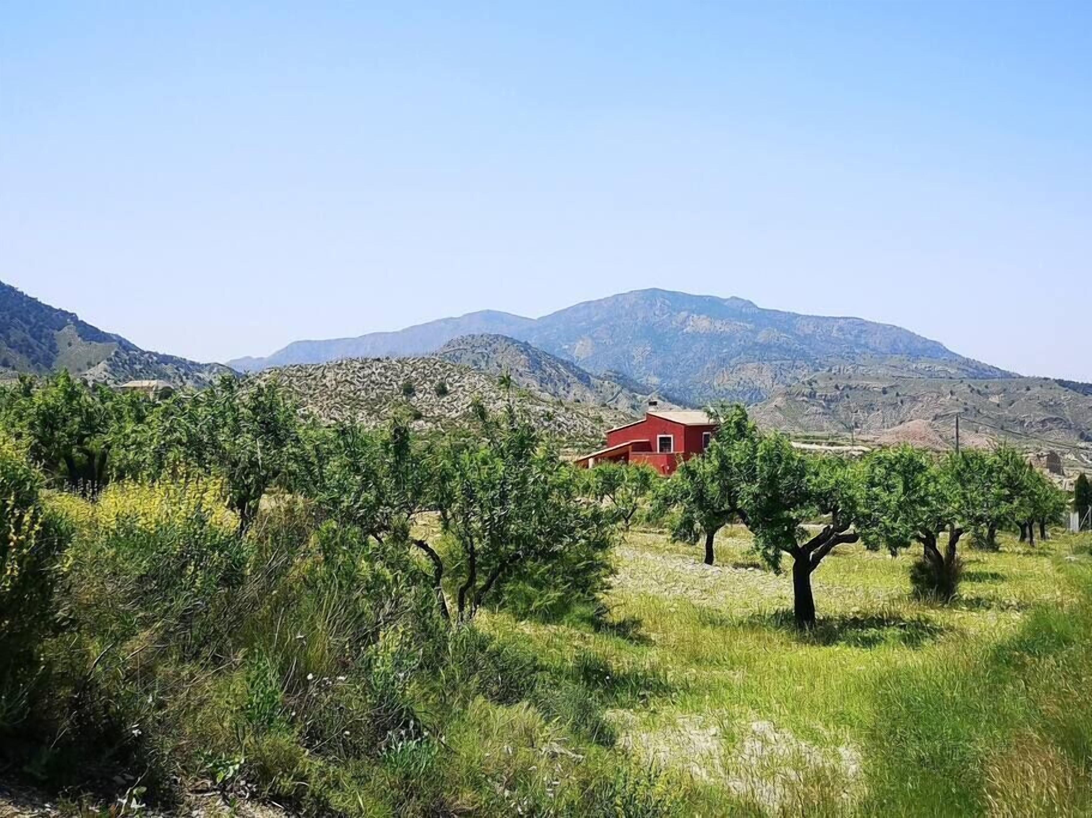 A red building surrounded by a vineyard with mountains in the background.