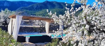 Spain + Private Pool + Family + Friends + Dogs + Nature