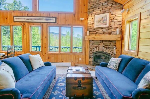 TV, caminetto, libri, studio