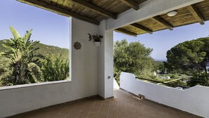 Ein überdachter Balkon mit Blick auf eine gebirgige Landschaft, einem Blumentopf und einer Wanddekoration.