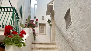 Una stretta scala in un edificio dalle pareti bianche, con fiori rossi e una ringhiera verde.