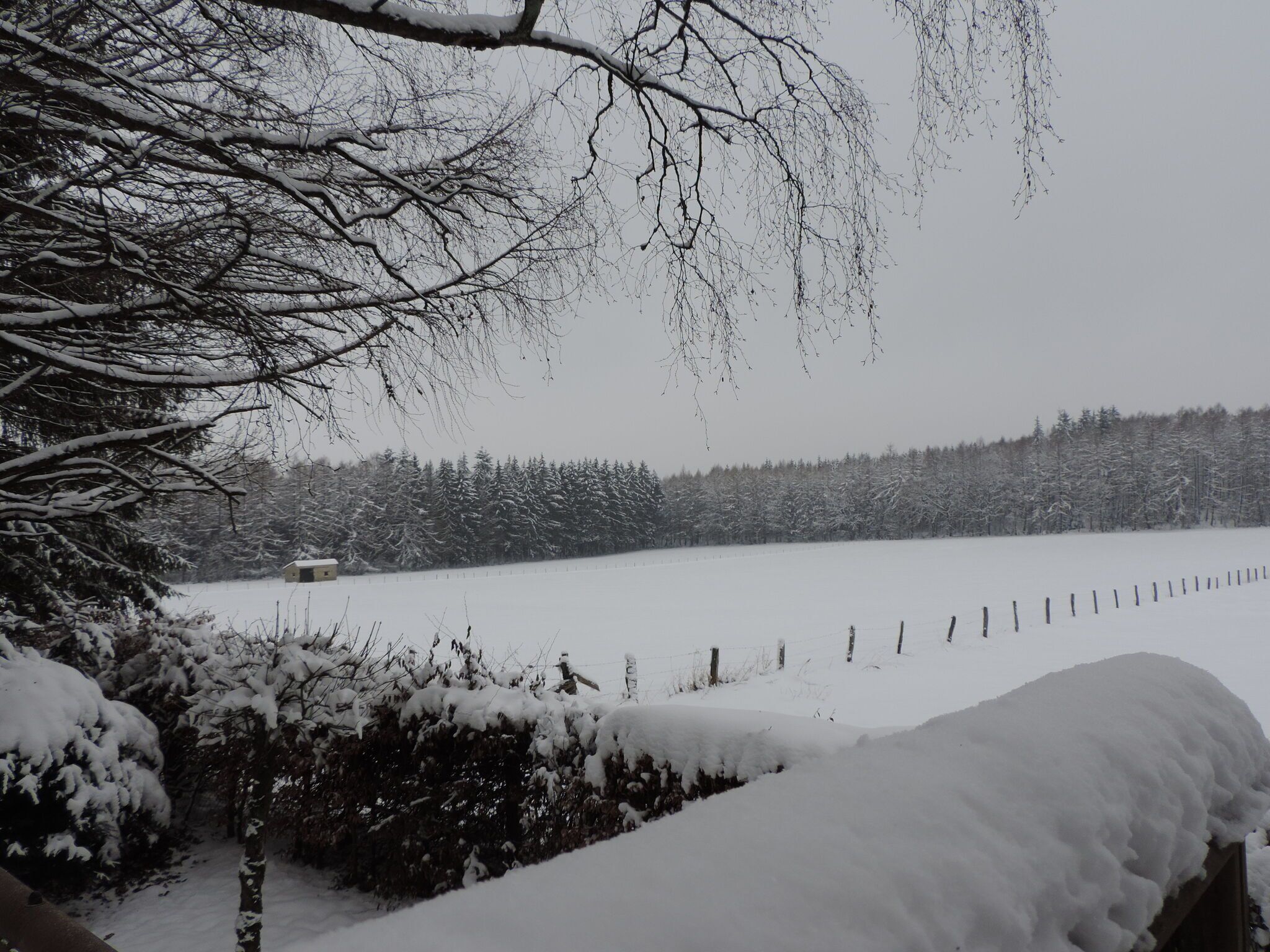 En las proximidades [invierno] (<1 km)