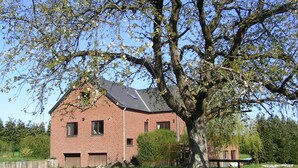 Ett hus byggt av tegel med ett stort träd framför.