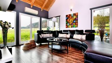 TV, fireplace, DVD player, ping pong