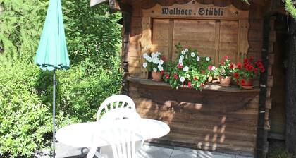Chalet in Alps near Ski Slopes