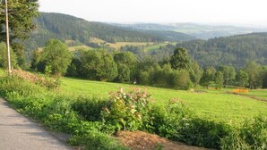 Ländliche Landschaft mit einer Straße, grünen Feldern und Bäumen.