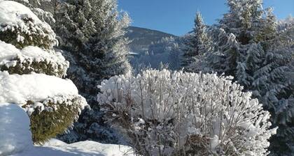 Stylish Apartment Near Skiing