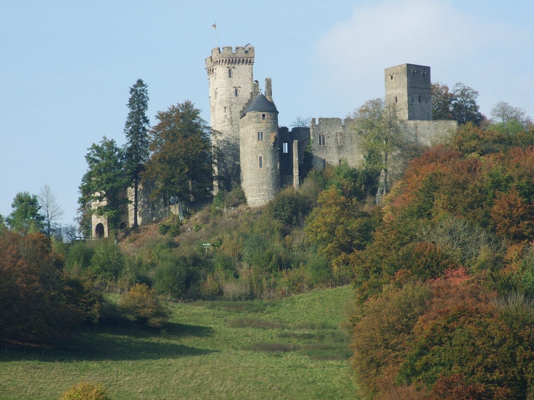 A castle with multiple towers and a moat, surrounded by trees and a grassy area.