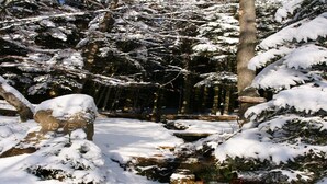 A snowy forest scene with a clear stream, trees, and a rock with '1975' engraved on it.