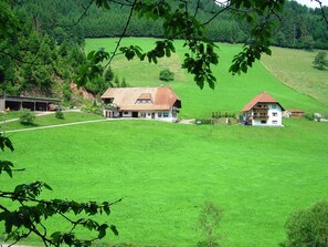 Paesaggio rurale con due case, una con tetto rosso e l'altra con tetto bianco, immerse in prati verdi e alberi.
