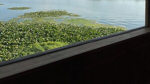 A view of a lake with lily pads and boats, a distant mountain, and a clear sky. - New York Houseboat (Srinagar)