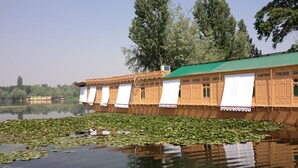 A row of traditional wooden boats with green roofs, floating on a lake with lily pads. - New York Houseboat (Srinagar)