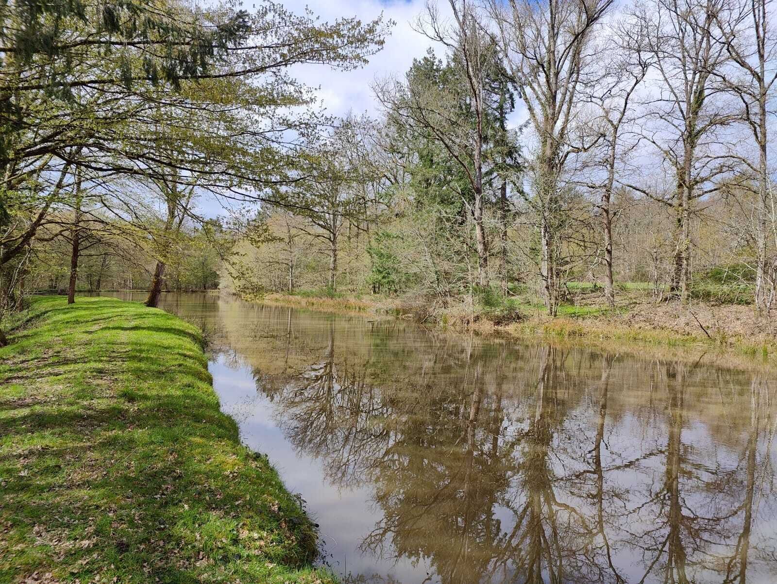 Une rivière paisible où se reflètent les arbres, bordée de rives verdoyantes et surplombée d’un ciel dégagé.