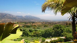 Vista panorámica con montañas a lo lejos, cielo despejado y diversa vegetación, destacando una palmera.