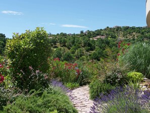 Stroll through the serene garden, surrounded by lush greenery and vibrant flowers.